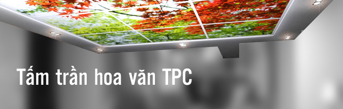 Tấm trần hoa văn TPC
